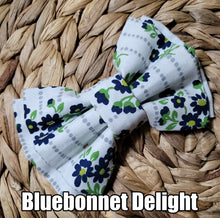 Traditional Bow Ties